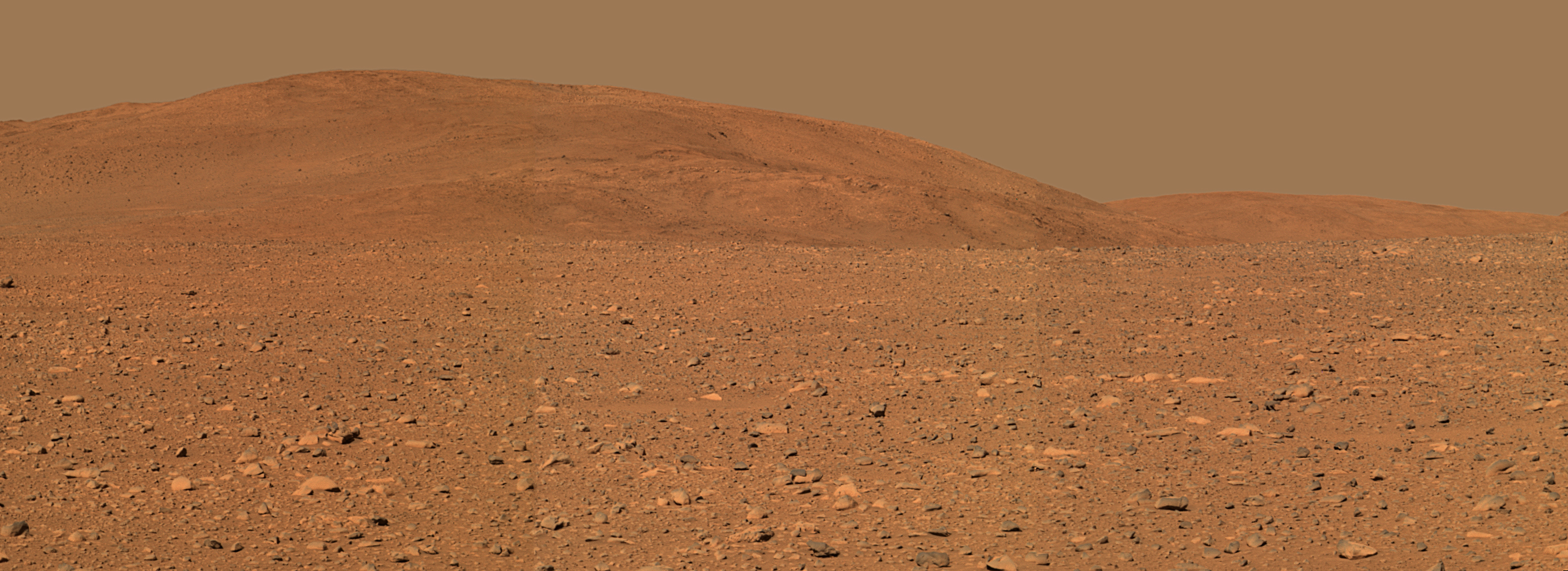 Mars Surface